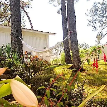 Cabedelo Beach House Viana do Castelo Exterior photo