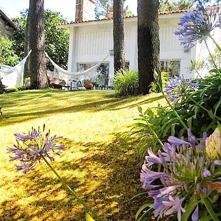Cabedelo Beach House Viana do Castelo Exterior photo